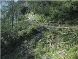 Jezersko-Češka koča-Grintovec Proti Češki koči